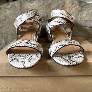 Snake Print Sandals